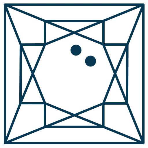 Salt & Pepper icon
